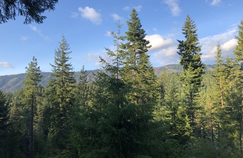 Ardenvoir Cabin | Log Cabin Mountain Views, secluded on 5 acres, Leavenworth 18 m, Stevens 31 m