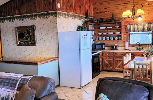 Sylvan Shores Cabin | Log Cabin on Beaver Lake with Boat Dock/Swim Deck/slips