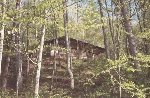 Whittier Cabin | Log Cabin w/Hot Tub near Casino, Cherokee & Bryson City