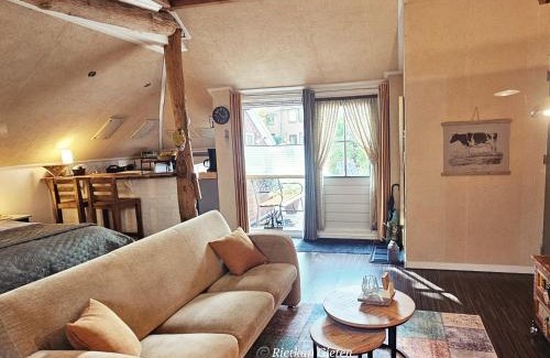 Gieten Apartment | Logeerboerderijtje De Rietkap Gieten