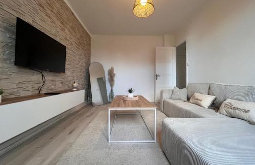 Villefranche-sur-Saone Apartment | Logement chaleureux et lumineux