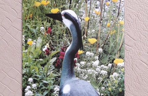 's-Gravenvoeren Bed & Breakfast | Logement de Blauwe Reiger