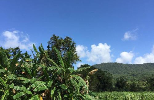 Le Morne-Rouge Apartment | Logement en pleine verdure tropicale -10 min plage