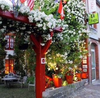 Saint-Vaast-la-Hougue Hotel | Logis Hotel Les Fuchsias