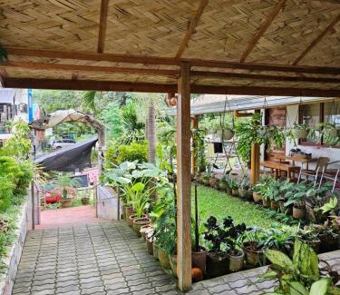 San Juan Hostel | Lokal Home Hostel