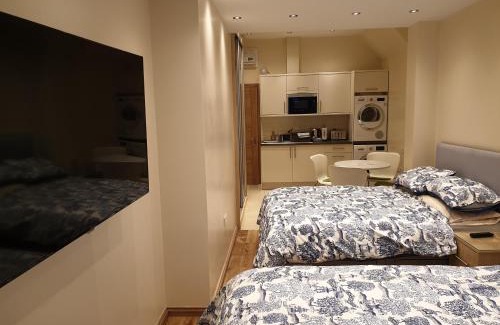Valentines Apartment | London Luxury 2 bed studio 4 mins from Ilford Stn - FREE parking, WiFi, garden access