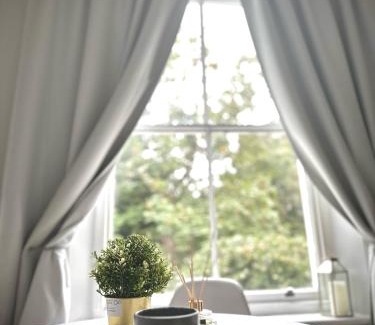 Vassall Apartment | London Oval Apartment