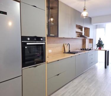 Suceava Apartment | London Residence - Suceava City -