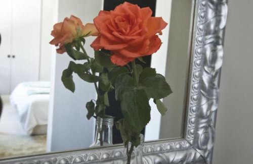 Cape Town City Centre Hotel | Long Street Boutique Hotel