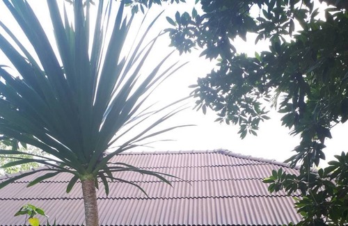 Pa Phayom Hotel | Longgaeng Wang Chompoo
