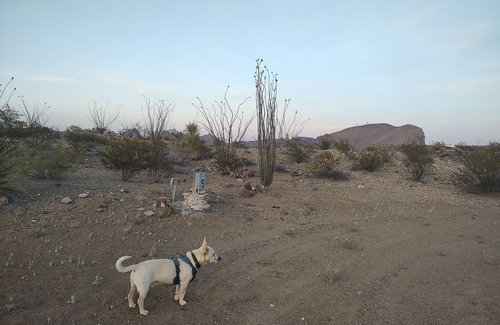 Study Butte-Terlingua RV Rental | Longhorn Ranch Motel - RV Park with Power and No Sewer