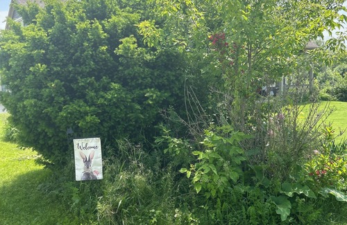 Oconomowoc House | Looking for a large home with acres during RNC? Great trails and backyard