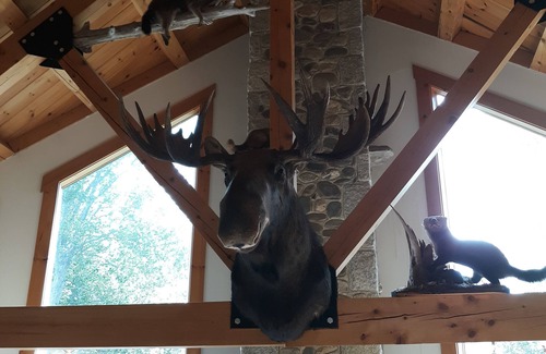 Rockwood Cabin | Loon's Nest Log Cabin/Waterfront. Pontoon boat available for rent