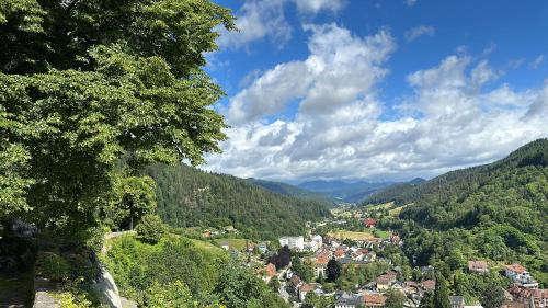 Hornberg Apartment | Lopezan home and living