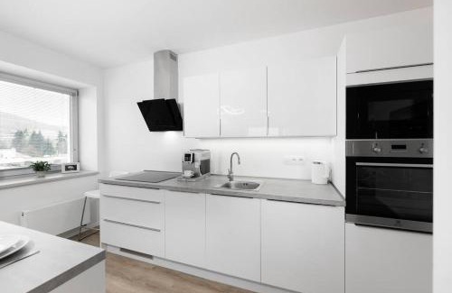 Zlin Apartment | Lorenc Apartment