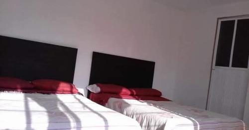 Chignahuapan Hotel | Los ajolotes