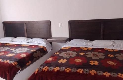 Chignahuapan Hotel | Los ajolotes