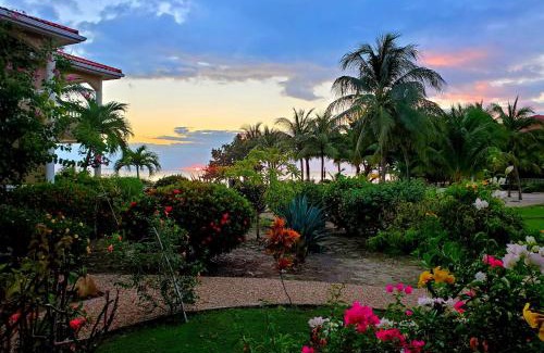 Placencia Villa | Los Porticos