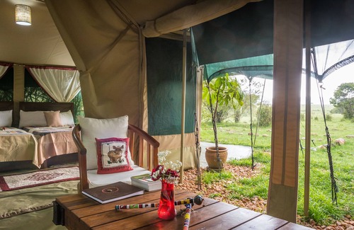 Aitong Other | Losokwan Camp