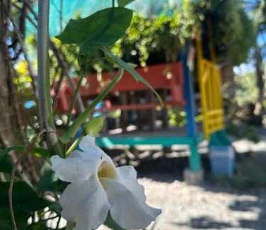 Baler Resort | Lotus Sun & Waves Beach Resort