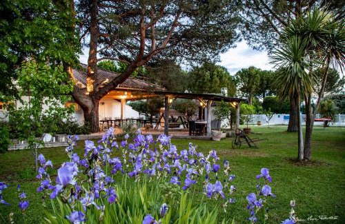 Saint-Laurent-d'Aigouze Hotel | Lou Garbin