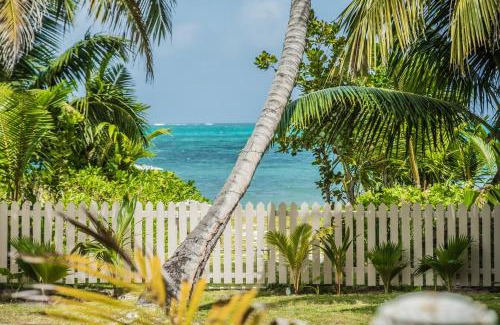 Amitie Apartment | Lou Lou Bungalow