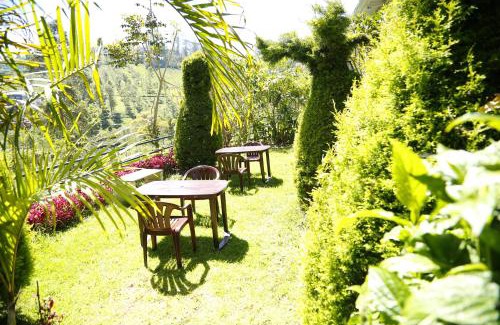 Kotagiri House | Lourdu Peter Hill Nest