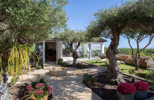 Bolonia House | Love Garden