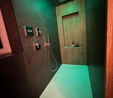 Bischoffsheim Apartment | Love industrie & spa - Suite Romantique en Alsace - Terrasse et garage