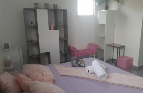 Tremblay-en-France Hotel | Love Room Douceur