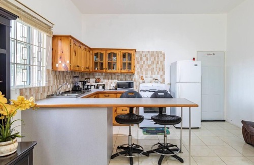 IronShore Estates Apartment | Lovely 1-Bed in Montego Bay-Rose View Apartment