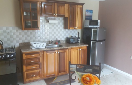 Mandeville Apartment | Lovely 1-bedroom apartment in Mandeville with WiFi, AC in safe and private area