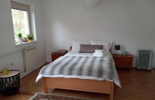 Dobrova Apartment | Lovely 2-bedroom appartment with free parking