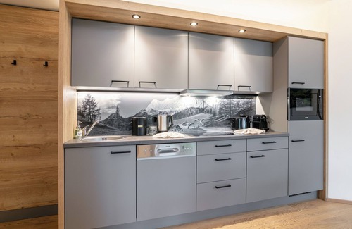 Haus im Ennstal Apartment | Lovely apartment with its own sauna