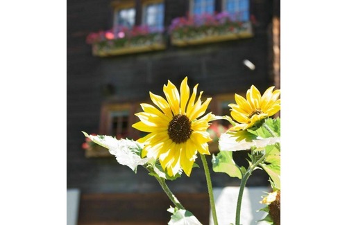 Reckingen Apartment | Lovely apartment for 3 guests with WIFI, balcony and parking