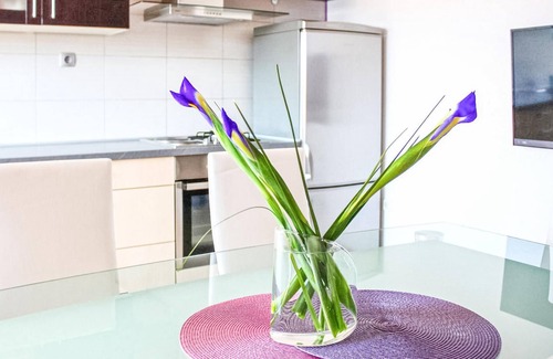 Grebastica Apartment | Lovely apartment in Grebastica