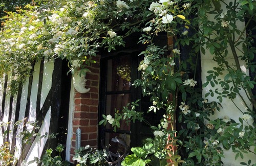 La Croupte Cottage | Lovely cottage in Notre Dame De Courson ~ Serene peace in middle of the forest