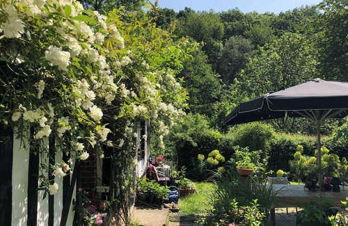 La Croupte Cottage | Lovely cottage in Notre Dame De Courson ~ Serene peace in middle of the forest