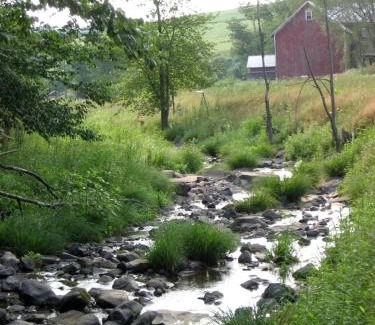 Meredith House | Lovely Farm Cabin Incredible for Animal Lovers in East Meredith, New York