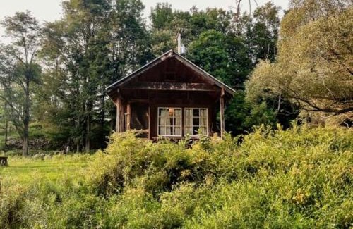 Meredith House | Lovely Farm Cabin Incredible for Animal Lovers in East Meredith, New York