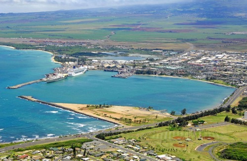 Kahului House | Lovely Find! 3 Garden View Units, Pool, Walk to Attractions and the Beach