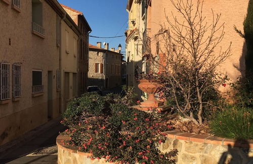 Saint-Jean-Pla-de-Corts House | Lovely period spacious village house with a pool and wifi