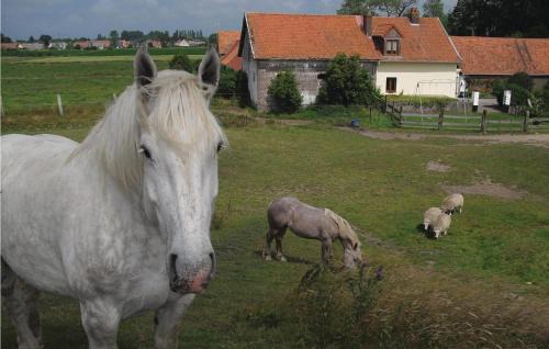 Hames-Boucres House | Lovely Home In Hames Boucres With Wifi
