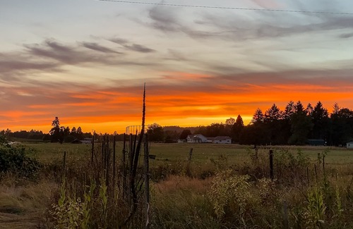 Thurston House | Lovely home with pasture views, private patio, & full kitchen!
