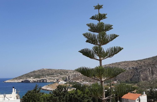 Kaki Thalassa Cottage | Lovely maisonette 3min walk from the beach!Roof garden with sea view!Nearairport