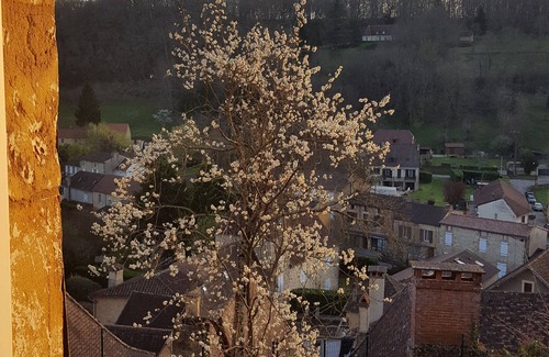 Cenac-et-Saint-Julien House | Lovely Perigordian Property with plenty of Character