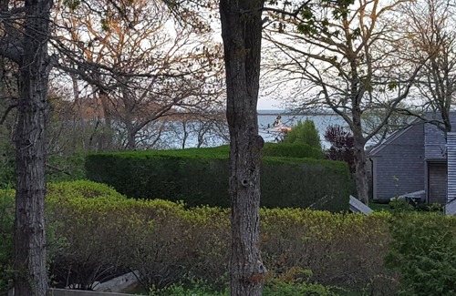 Chatham House | Lovely Stage Harbor Estate Guest House W/Private Beach to Use