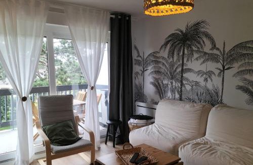 Sainte-Cecile-Plage Apartment | Lovely T2 with garden by the sea