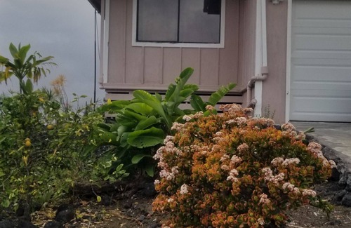 Ocean View House | Lower oceanview. Recent remodel interior. Close to highway, store and beaches.
