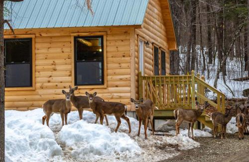 Greenville House | Lower Wilson Pond Refuge